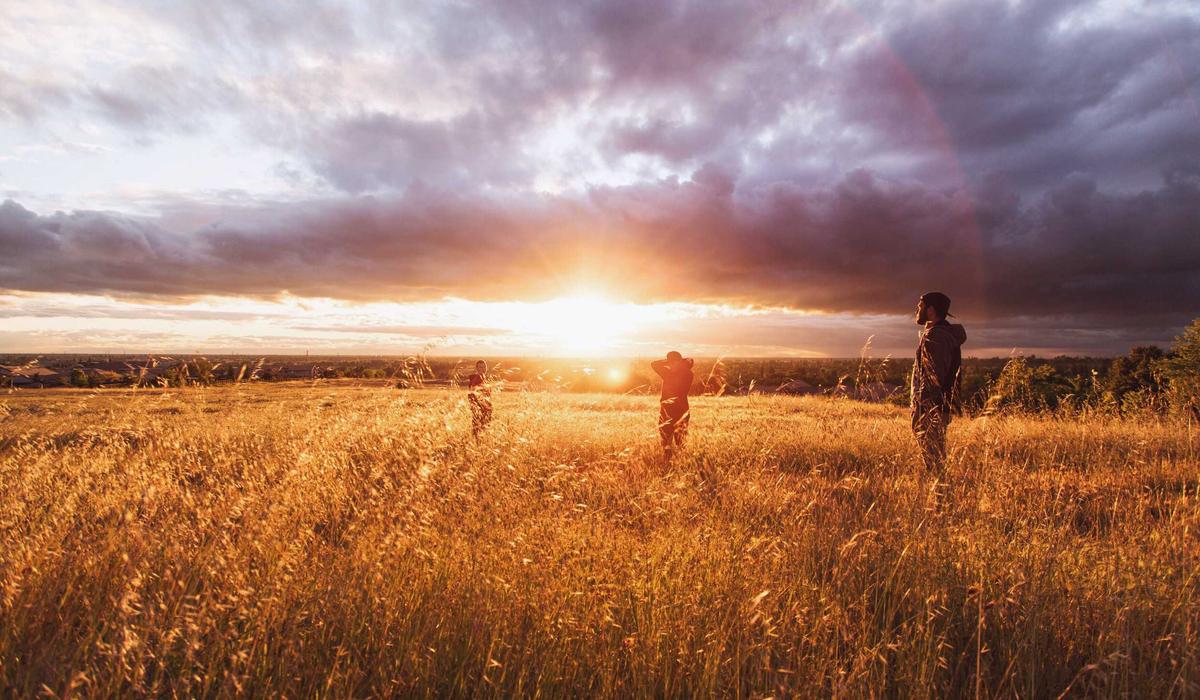 Real Estate Web Design